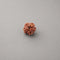 1 Mukhi Rudraksha Nepali