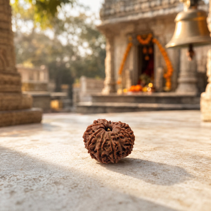 9 Mukhi Rudraksha Nepali