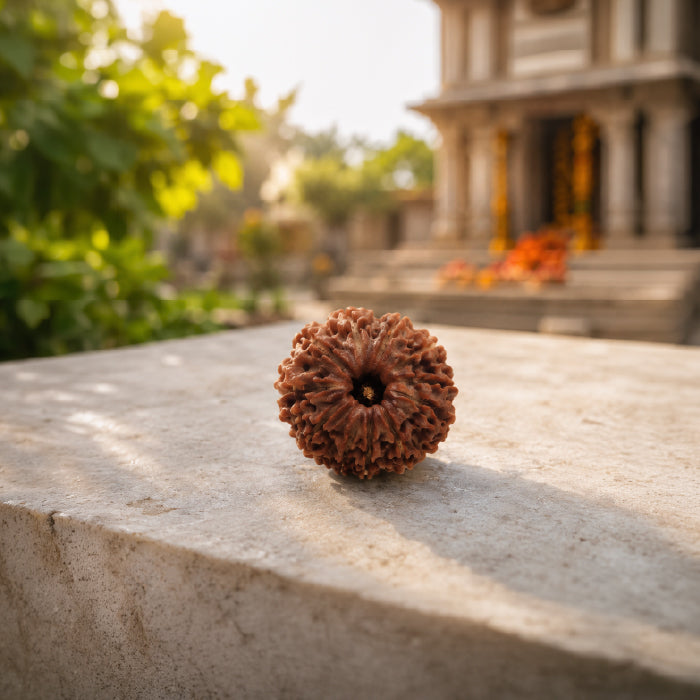 9 Mukhi Rudraksha Nepali