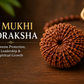 23 Mukhi Rudraksha