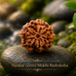 Nirakar (Zero) Mukhi Rudraksha