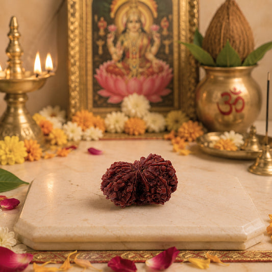 Gaurishankar Rudraksha