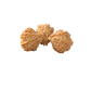 Trijuti Rudraksha