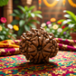 9 Mukhi Rudraksha