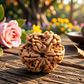 6 Mukhi Rudraksha