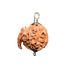 Ganesh Rudraksha