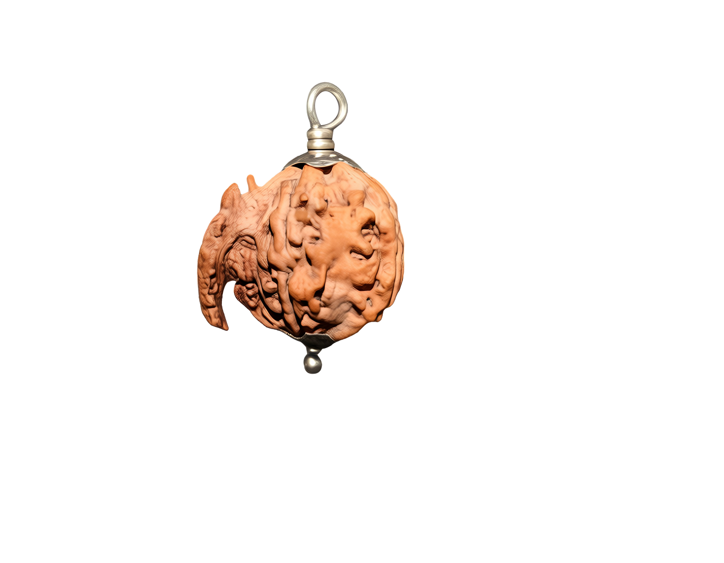Ganesh Rudraksha