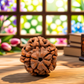5 Mukhi Rudraksha